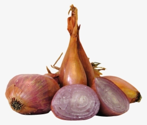 Free Png Shallot Onions Png Images Transparent - Shallot Png #1925864