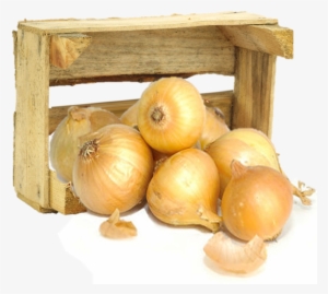 Organic Texas Sweet Onions - Organic Yellow Onions, Bag #1926039