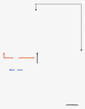 Starfield Circuit - Diagram #1926110