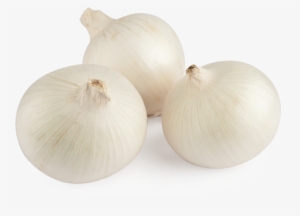 White Onion - Cebolla Blanca Png #1926160