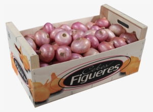 Consuay Figueres Onion Box - Onion In Box #1926602