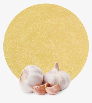 The Garlic Plant Belong To The Allium Genus, As Well - Garlic #1926620