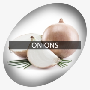 Landingimage Igrow Onions - Onion #1926638