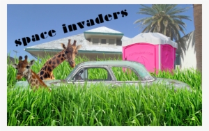 Down Here Betwixt The Golfo De México And The Atlantic #1926745