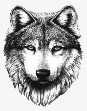 Getting A Wolf Tat Sooooon - Wolf Tattoo #1927740