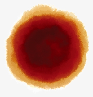 Macro Photography #1928066