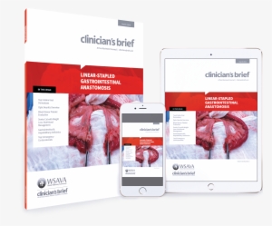 All 2018 Issues - 2018 #1928371