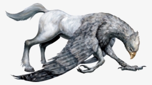 Harry Potter Bathroom, Harry Potter Books, Harry Potter - Harry Potter Hippogriff Bowing #1928389