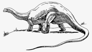 dinosaur with a long neck and tail