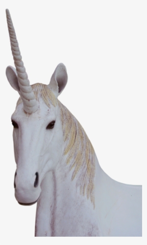 Png,unicorn,animal Magic,fantasy - Unicorn Png #1928636