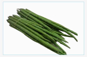 Fresh Drumsticks #1930389