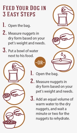 Image Description - Circle #1935357