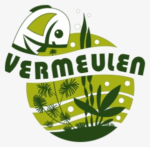 Click To View In Fullscreen - Terrarium #1935751