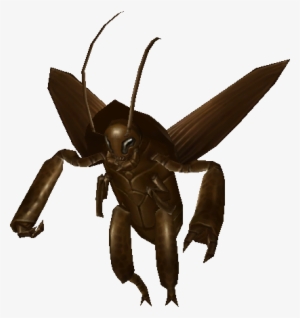 Roach - Wiki #1936200