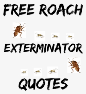 What Is The Best Cockroach Repellent - Quotes From My Kid By Om Yasmeen 9781537434193 (paperback) #1936641