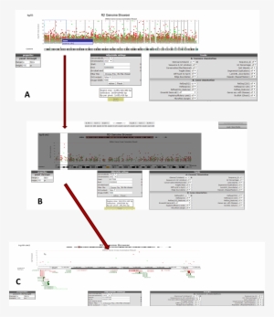 Explore Chromosomal Regions - Chromosome #1937982
