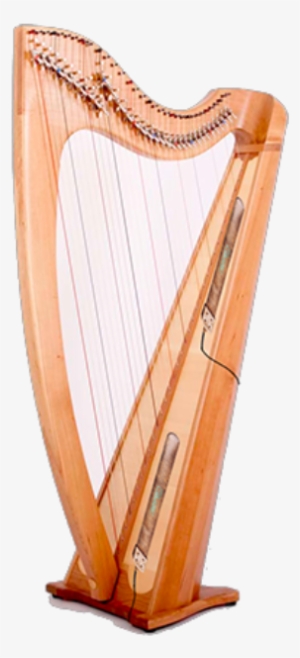 Home About Us Instruments Products Contact - Golden Peakock Overseas Limited #1938835