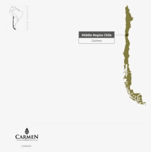 Our Producers From Chile - Illustration #1942742