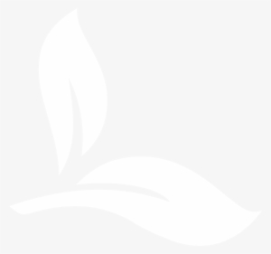 Doterra Forgive 5ml - Mint Chocolate #1944898