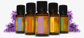 Doterra Lavender Png - Doterra Oils #1944937