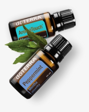 Dōterra Oils - Doterra Cypress Essential Oil - 15 Ml #1945177