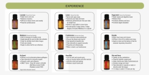Doterra Oilsnew - Essential Oil For Healing #1945398