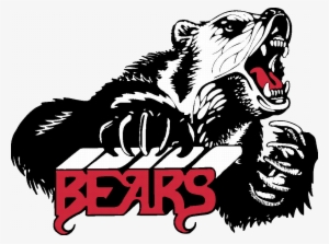 Delhi Bears - Juneau Douglas High School #1945900