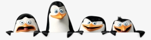 Madagascar Penguins Png - Madagascar Png #1946476