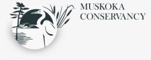 Muskoka Conservancy Logo - Muskoka Conservancy #1946710