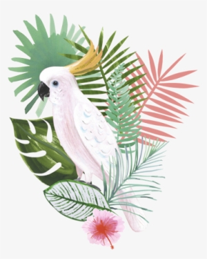 Brief Two Going Gifted By Hallmark - Tropical Image Transparent #1949240