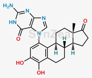 4 Hydroxy Estrone 1 N7 Guanine #1950886