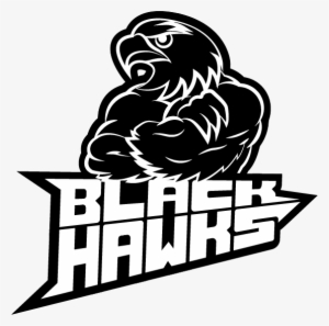 Blackhawks Logo600x600 - Chicago Blackhawks #1951453