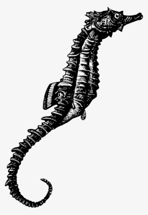 This Free Icons Png Design Of Seahorse 2 #1952385