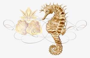 Click And Drag To Re-position The Image, If Desired #1952553