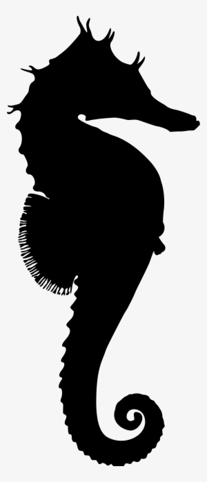 Silhouette Sea Horse #1952831