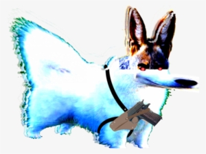 Incredibly High Negative Energy Being - East-european Shepherd #1953181