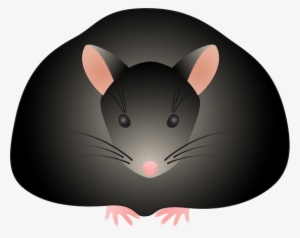 Clip Art Media Lab Biochemistry Uw Madison - Fat Mouse Cartoon #1953227