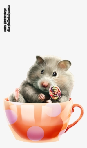 Hamster 50 - Portable Network Graphics #1953229