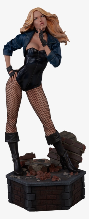 Dc Collectibles Black Canary Statues #1953418