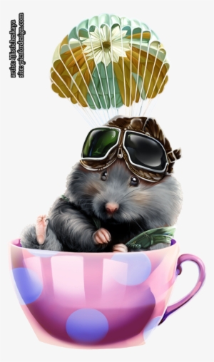 Hamster-1 - Portable Network Graphics #1953569