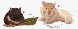 Hamsters - Art #1953682