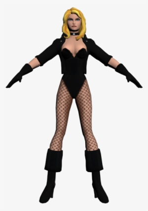 Download Zip Archive - Black Canary #1953685