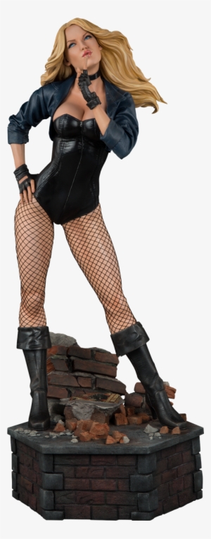 Parts And Accessories - Black Canary Premium Format Figure #1953847