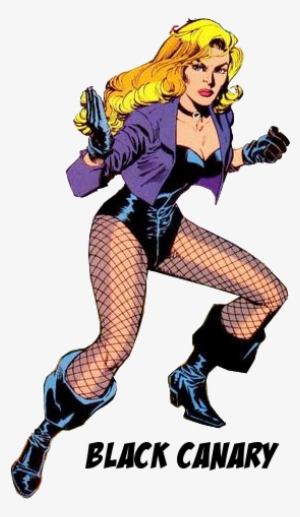 Original Black Canary Dc Comics #1953911