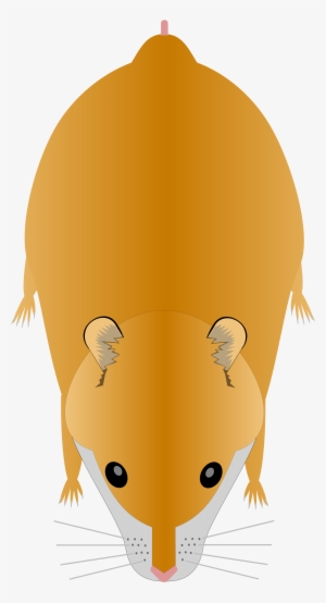 Open - Svg Hamster #1953932