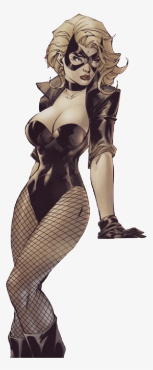 Click To Expand - Jim Lee Black Canary #1954150