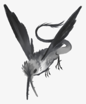 Hummingbird - Dragon #1954196