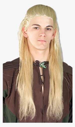 Men's Legolas Wig - Lord Of The Rings - White - One #1954494