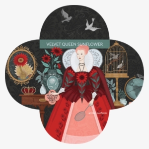 Organic Velvet Queen Sunflower Seeds - Seed #1955165