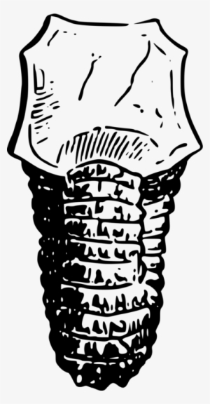 All Photo Png Clipart - Clip Art #1955219